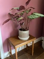 Bijzettafeltje *Torck*, Minder dan 45 cm, Minder dan 55 cm, Gebruikt, Ophalen of Verzenden