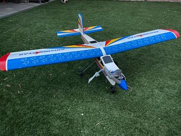 Seagul Arising Star trainer beschikbaar voor biedingen