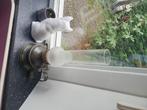 Antieke olielamp met glazen kap, Ophalen of Verzenden