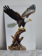 Wanddecoratie "Adelaar op tak"  (NIEUW), Ophalen of Verzenden, Nieuw