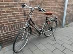 Koga Miyata Roadrunner Damesfiets, Versnellingen, Ophalen, Overige merken, 53 tot 56 cm