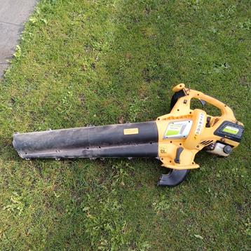 Benzine Bladblazer - Krachtig en Efficiënt! beschikbaar voor biedingen