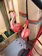 Flamingo set tekoop, Ophalen, Zo goed als nieuw, Nvt, Nvt