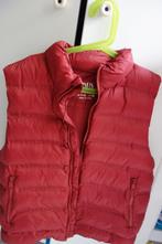 Mooie body warmer van Zara maat 9-10 140cm zgan, Jongen of Meisje, Ophalen of Verzenden, Zo goed als nieuw, Zara