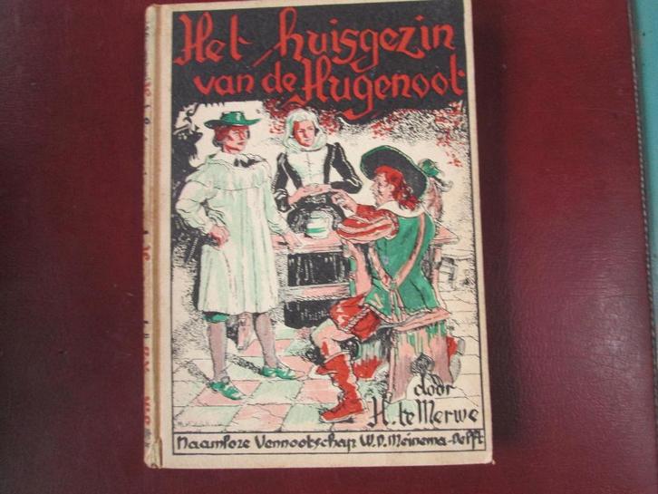 H. te Merwe, Het Huisgezin van de Hugenoot, Boeken, Kinderboeken | Jeugd | 13 jaar en ouder, Gelezen, Fictie, Ophalen of Verzenden