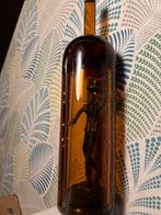 Luxe wijnfles met beeld in luchtdichte koker, Ophalen of Verzenden, Zo goed als nieuw, Frankrijk, Champagne