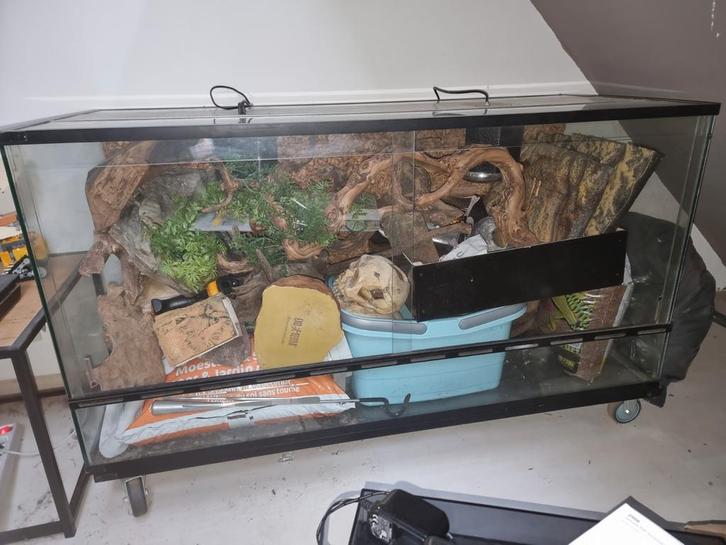 Terrarium 120 x 50 x 60 met veel toebehoren, Dieren en Toebehoren, Reptielen en Amfibieën | Toebehoren, Terrarium of Paludarium