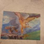 3 d Poster Havik, Ophalen of Verzenden, Dier of Natuur, Rechthoekig Staand, Gebruikt