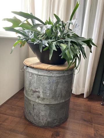 Mooi sierton / bijzettafel beschikbaar voor biedingen