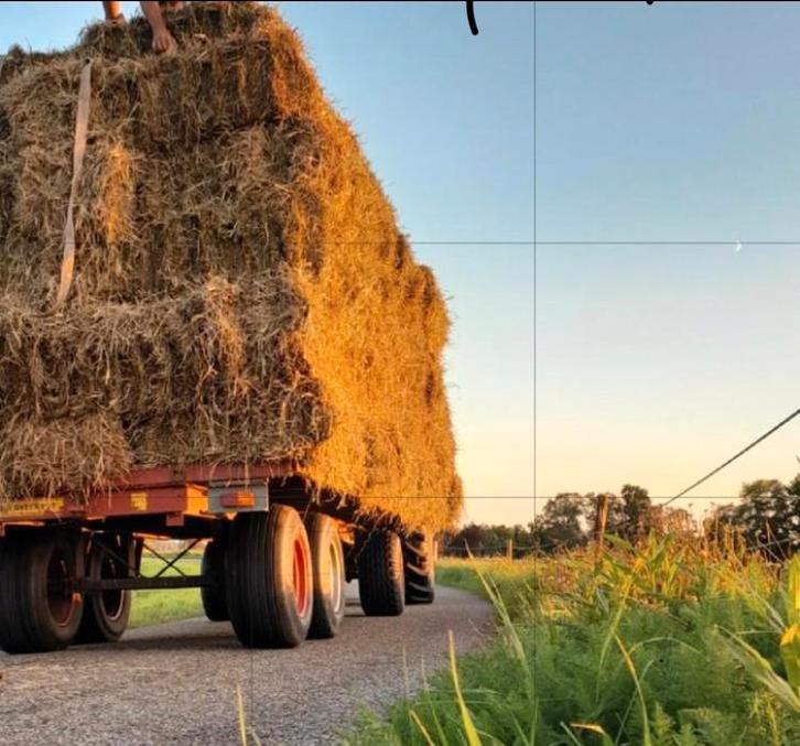 Hooi, Dieren en Toebehoren, Stalling en Weidegang