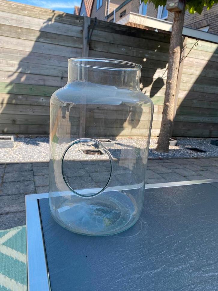 Mooie vaas voor terrarium, Huis en Inrichting, Woonaccessoires | Vazen, Zo goed als nieuw, Minder dan 50 cm, Glas, Ophalen