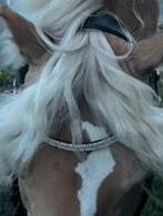 Zilveren frontriem, Ophalen of Verzenden, Gebruikt, Overige soorten