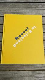 Raveel in Friesland, Ophalen of Verzenden, Zo goed als nieuw, Schilder- en Tekenkunst