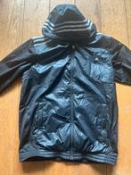 Nieuwe adidas jas, Maat L, Ophalen of Verzenden, Nieuw, Overige typen