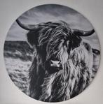 Cirkel schilderij 1m doorsnee van Schotse hooglander., Huis en Inrichting, Woonaccessoires | Schilderijen, Tekeningen en Foto's