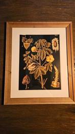 2 maal grote houten lijsten, landelijke stijl, Ophalen, Zo goed als nieuw, Hout, Minder dan 50 cm