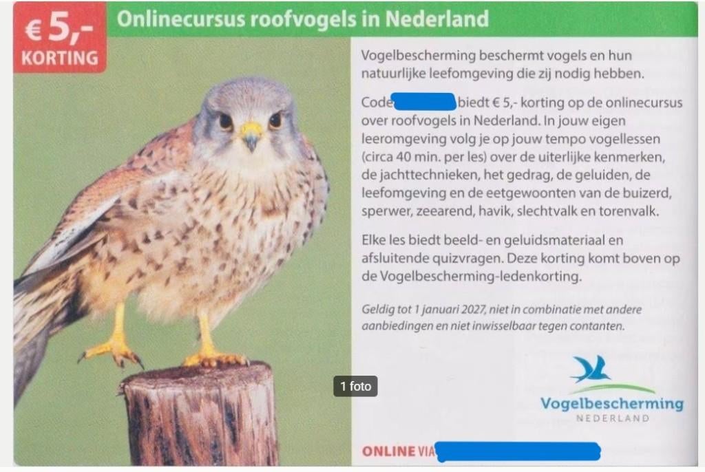 Onlinecursus roofvogels in Nederland  €5,- korting, Drie personen of meer, Kortingsbon, Overige typen