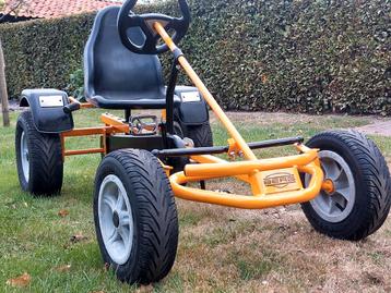 SUPER MOOIE BERG SKELTER MET VRIJLOOP beschikbaar voor biedingen