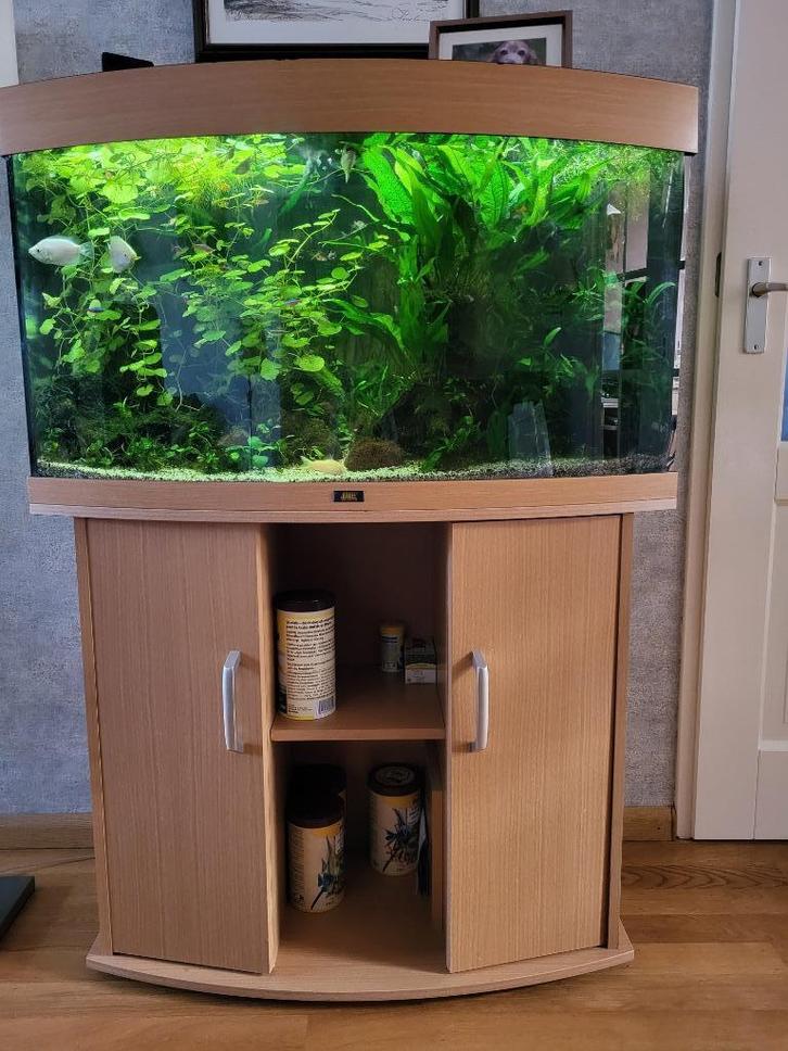 Aquarium Juwel Vision 180 led, panorama, Dieren en Toebehoren, Vissen | Aquaria en Toebehoren, Gebruikt, Gevuld zoetwateraquarium