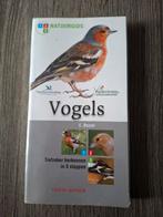 Einhard Bezzel - vogels, Ophalen of Verzenden, Vogels, Einhard Bezzel, Zo goed als nieuw