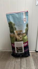 Eukanuba large breed, Ophalen, Hond