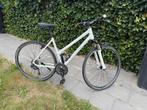 Stevens Meisjesfiets 50cm crossfiets, 28 inch, Gebruikt, 10 tot 15 versnellingen, 47 tot 50 cm