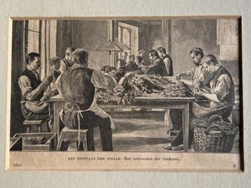 Het ontstaan der sigaar beschikbaar voor biedingen