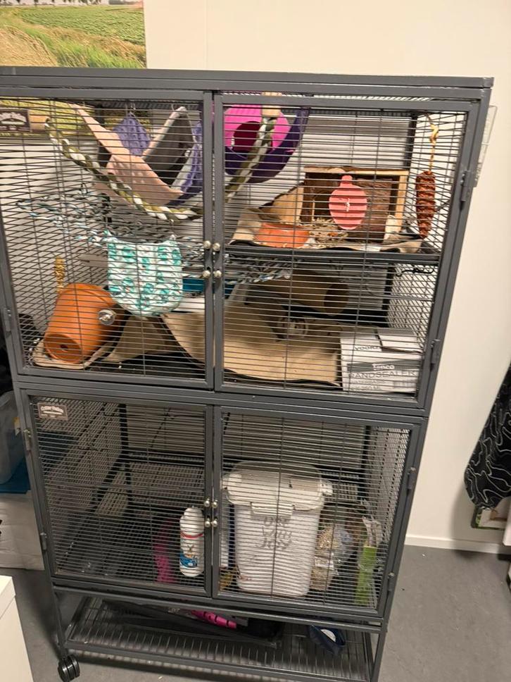 2 tamme ratten plus hok en toebehoren, Dieren en Toebehoren, Knaagdieren en Konijnen | Hokken en Kooien, Gebruikt, Kooi, 90 cm of meer
