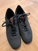 Zaalschoenen maat 43, Ophalen of Verzenden, Nieuw