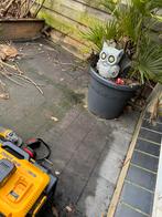 Tuintegels, Tuin en Terras, Ophalen, Zo goed als nieuw, Beton, Terrastegels