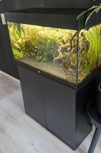 Juwel Rio 125 Led compleet aquarium zwart, Dieren en Toebehoren, Vissen | Aquaria en Toebehoren, Ophalen, Zo goed als nieuw, Gevuld zoetwateraquarium