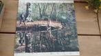 Lp - De beste van Peter Koelewijn - Diep Water, Ophalen of Verzenden, 12 inch, Pop