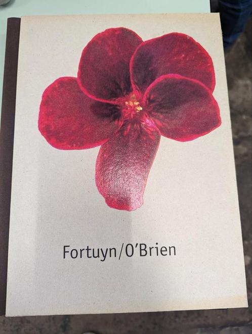 works and projects Fortuyn / O'Brien, Boeken, Kunst en Cultuur | Beeldend, Ophalen of Verzenden