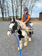 Leuke tinker pony kinderpony te koop, Dieren en Toebehoren, Zadelmak, C pony (1.27m tot 1.37m), 7 tot 10 jaar, Recreatiepony