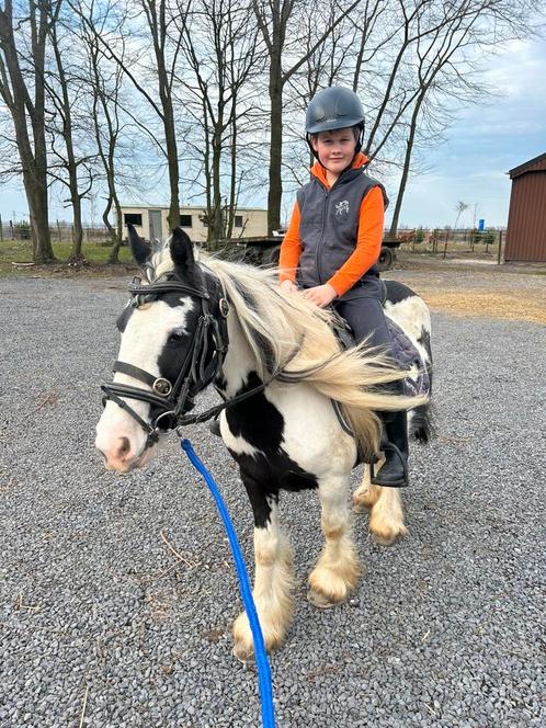 Leuke tinker pony kinderpony te koop, Dieren en Toebehoren, Pony's, Merrie, Zadelmak, C pony (1.27m tot 1.37m), Recreatiepony