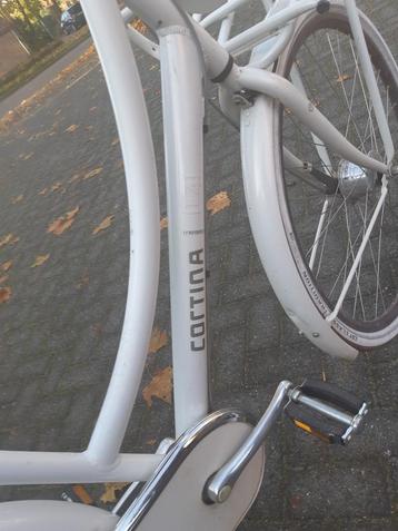 Te koop CORTINA U4 DAMENS  beschikbaar voor biedingen