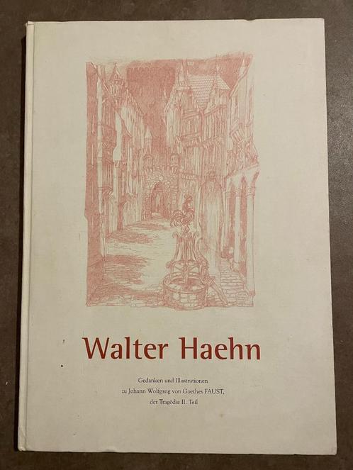 Gedanken und Illustrationen zu Goethes Faust, Boeken, Taal | Duits, Gelezen, Fictie, Ophalen of Verzenden