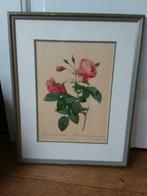 litho van PJ Redout, Rose Redimata, Antiek en Kunst, Ophalen of Verzenden