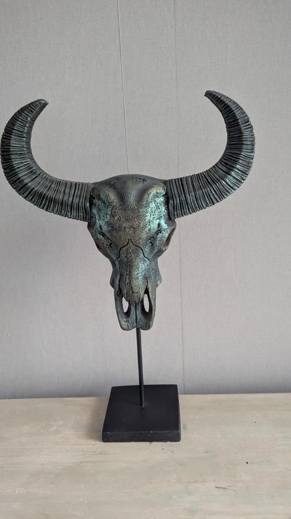 Buffel schedel op standaard, Ophalen of Verzenden