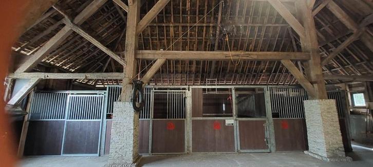 Paardenpension, Dieren en Toebehoren, Stalling en Weidegang, Stalling, Weidegang