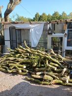 Open haard houd (wilg), Tuin en Terras, Haardhout, Minder dan 3 m³, Ophalen of Verzenden, Overige houtsoorten, Blokken