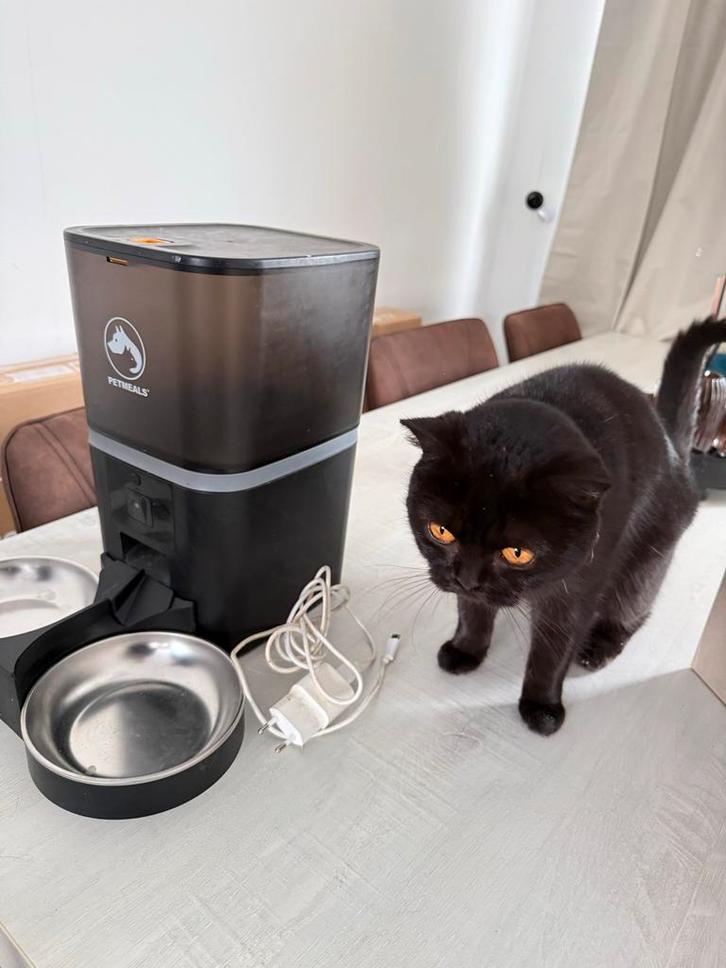 PETMEALS automatische voerdispenser, Dieren en Toebehoren, Kattenvoerbakken en Drinkbakken, Automatisch, Ophalen of Verzenden
