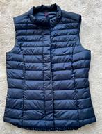 S. Oliver gewatteerde bodywarmer maat XS – dames, Ophalen of Verzenden, Zo goed als nieuw, Maat 34 (XS) of kleiner, Blauw