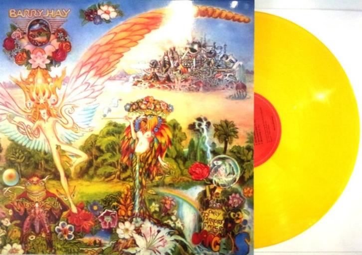 Barry Hay ‎- Only Parrots, Frogs And Angels - Yellow Vinyl, Cd's en Dvd's, Vinyl | Rock, Zo goed als nieuw, Poprock, 12 inch, Ophalen