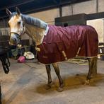 Bucas Atlantic Light Exclusive Wine + liners, Dieren en Toebehoren, Paarden en Pony's | Dekens en Dekjes, Ophalen of Verzenden