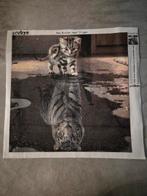 Diamond Painting - Kitten naar Tijger, Ophalen, Zo goed als nieuw, Overige typen