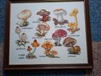 Mooi Borduurwerk Schilderij Paddestoelen in lijst, Ophalen, Minder dan 50 cm, Zo goed als nieuw, Schilderij