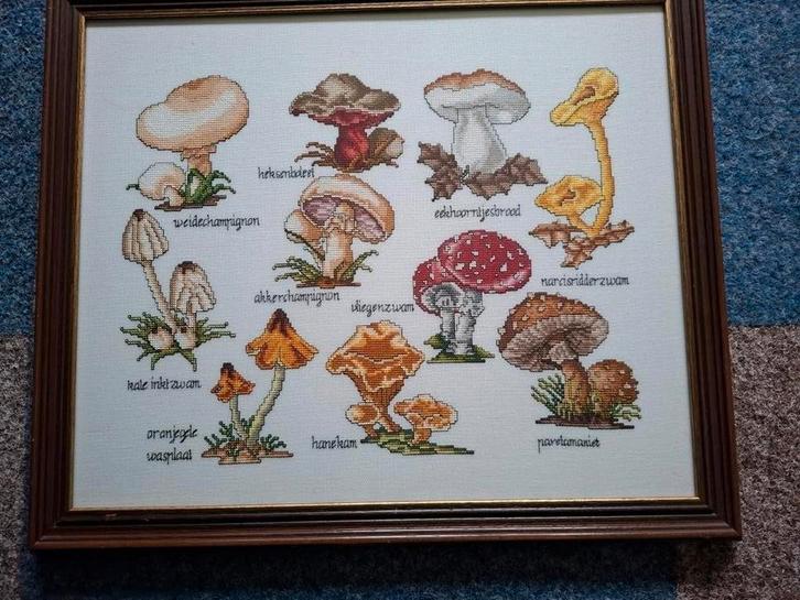 Mooi Borduurwerk Schilderij Paddestoelen in lijst, Huis en Inrichting, Woonaccessoires | Schilderijen, Tekeningen en Foto's, Zo goed als nieuw