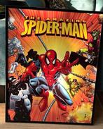 Spiderman, leuk voor kinderkamer!, Ophalen of Verzenden, Gebruikt