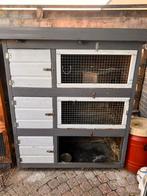 Caviaflat 3 verdiepingen, Ophalen, 90 cm of meer, Hok, Cavia